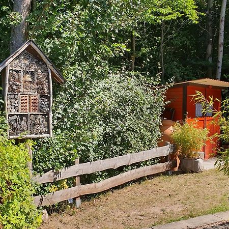 Ferienhaus Am Wald Ronshausen Экстерьер фото