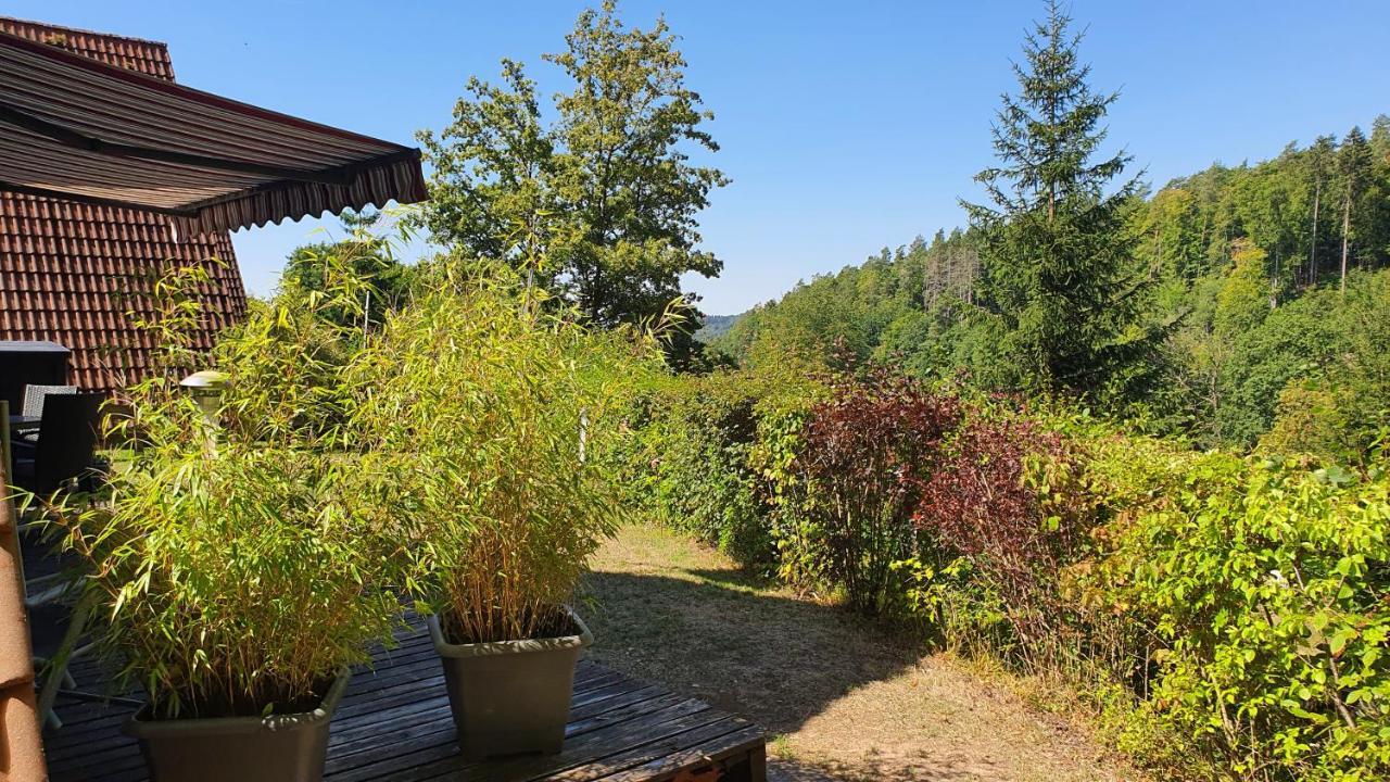 Ferienhaus Am Wald Ronshausen Экстерьер фото