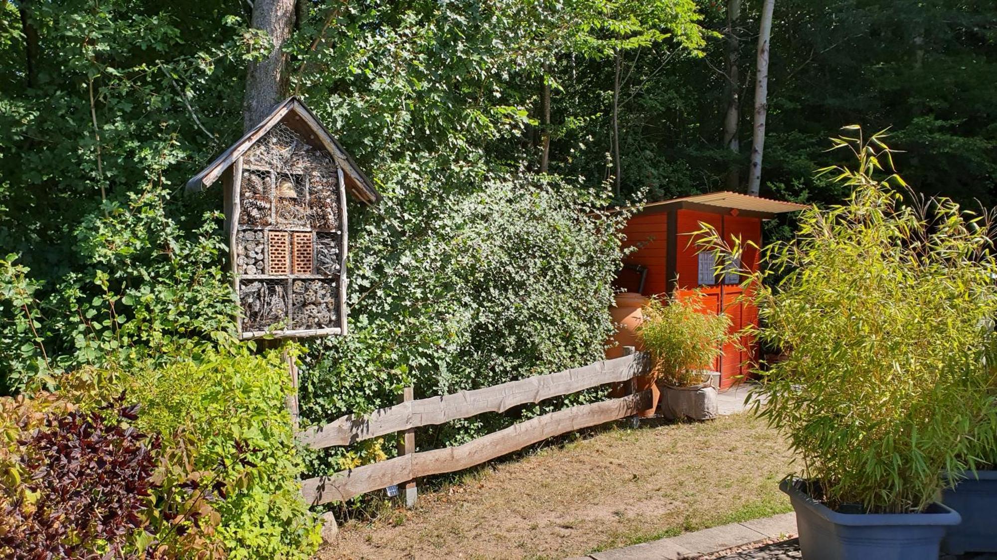 Ferienhaus Am Wald Ronshausen Экстерьер фото